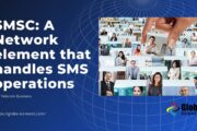 SMSC A Network element that handles SMS operations